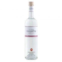 GRAPPA MASCHIO GAIARINE...