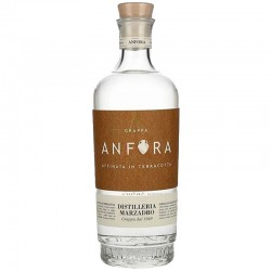 GRAPPA TRENTINA ANFORA...