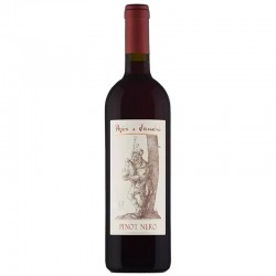 VINO POJER E SANDRI PINOT...