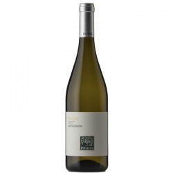 Sauvignon DOC Collio PIGHIN
