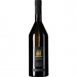 CACCESE SAUVIGNON COLLIO...