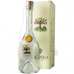 GRAPPA CAPOVILLA CL. 50...