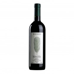 BRUNO ROCCA BARBERA D'ALBA...
