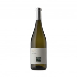 Sauvignon DOC Collio PIGHIN