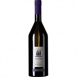 CACCESE TRAMINER COLLIO DOC...