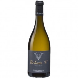 DOM.DE BELLEVUE URBAIN V...