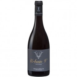 DOM.DE BELLEVUE URBAIN V...