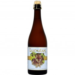 BIRRA LUPULUS TRIPLE 8.5%...