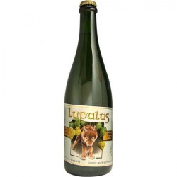 BIRRA LUPULUS MAGNUM 8.5 %...