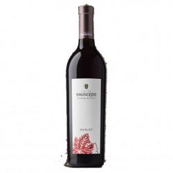 VINO MERLOT  CANTINA...