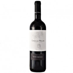 VINO VITE ROSSA IGT VENETO...