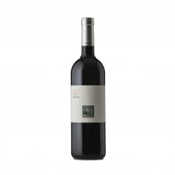 Merlot DOC Collio PIGHIN