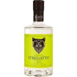 GIN STREGATTO ASSENZIO  CL.70