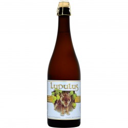 BIRRA LUPULUS TRIPLE 8.5%...