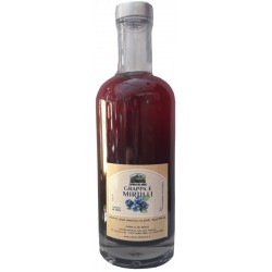 grappa mirtillo cc.500...