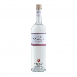 GRAPPA MASCHIO GAIARINE...