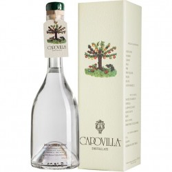 GRAPPA CAPOVILLA CL. 50...