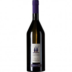 BIRRA GOUDEN CAROLUS...