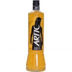 VODKA ARTIC MELONE 25° CL.100