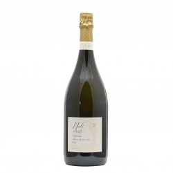 PROSECCO SPUMANTE magnum...