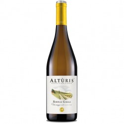 RIBOLLA GIALLA IGP ALTÙRIS