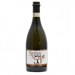 VINO Selva n.55 PROSECCO...