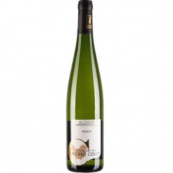 Muscat Bader  cl.75