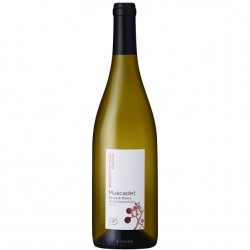 Muscadet Les Gautronnieres...