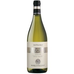 VINO PINOT GRIGIO COLLIO...