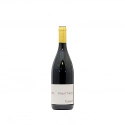 PINOT NERO OLTREPO' PAVESE...
