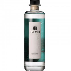 GIN TREVISI CL.70